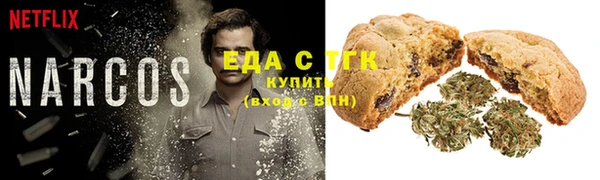 крисы Алзамай