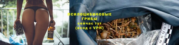 спайс Абинск