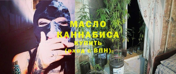 индика Абдулино