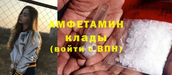 крисы Алзамай